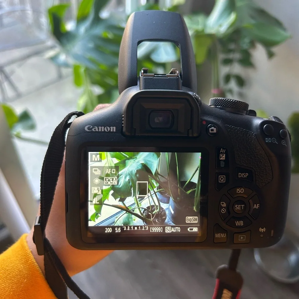 Canon rebel T7